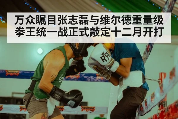 万众瞩目张志磊与维尔德重量级拳王统一战正式敲定十二月开打